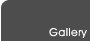 Vexel Gallery