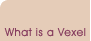 What is a vexel?
