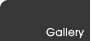 Vexel Gallery