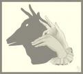 Shadow Puppet.