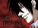 No Life King