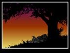 Hillside Sunset