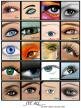 EYES COLLAB