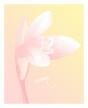 Pink Triangle