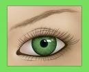Ojo