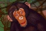 monkey (half paintbrush)