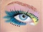 the eye