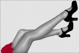 Legs