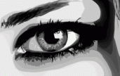 Wow. An eye.