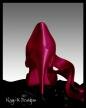 red shoe