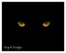 cat eyes