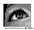 eye of bjork
