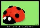 My Little Ladybug