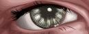An Eye