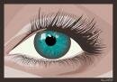 the eye