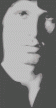 Morrison