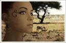 african beauty