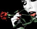 Red to Rose